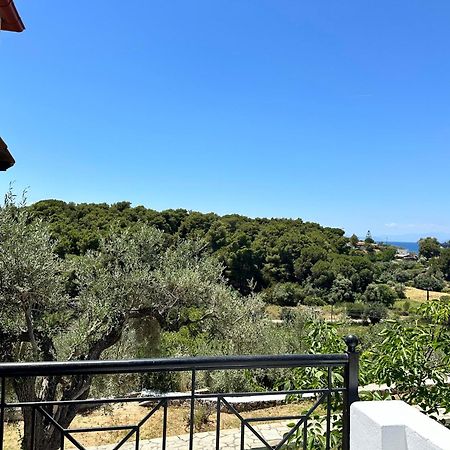 Pandora Studios Skiathos Kolios Dış mekan fotoğraf