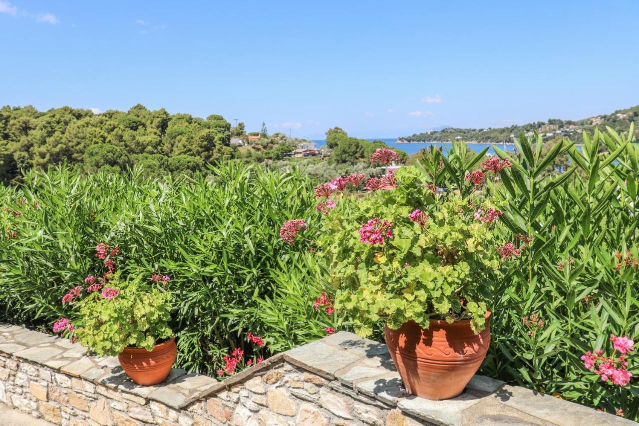 Pandora Studios Skiathos Kolios Dış mekan fotoğraf